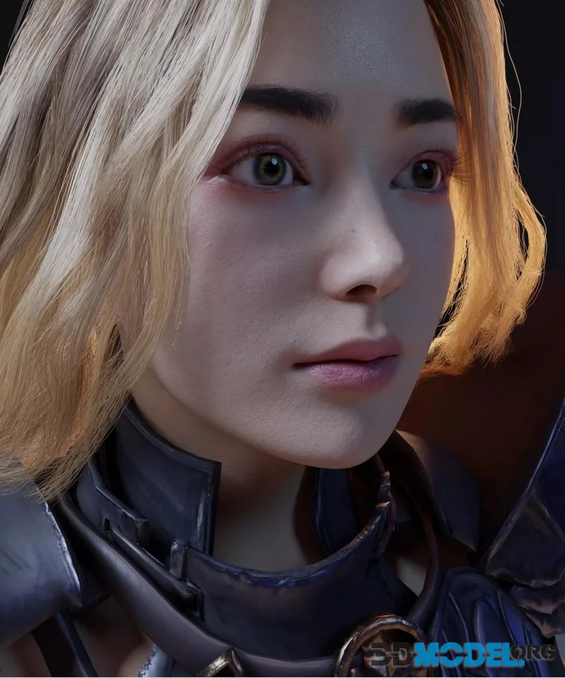 Female knight 8k