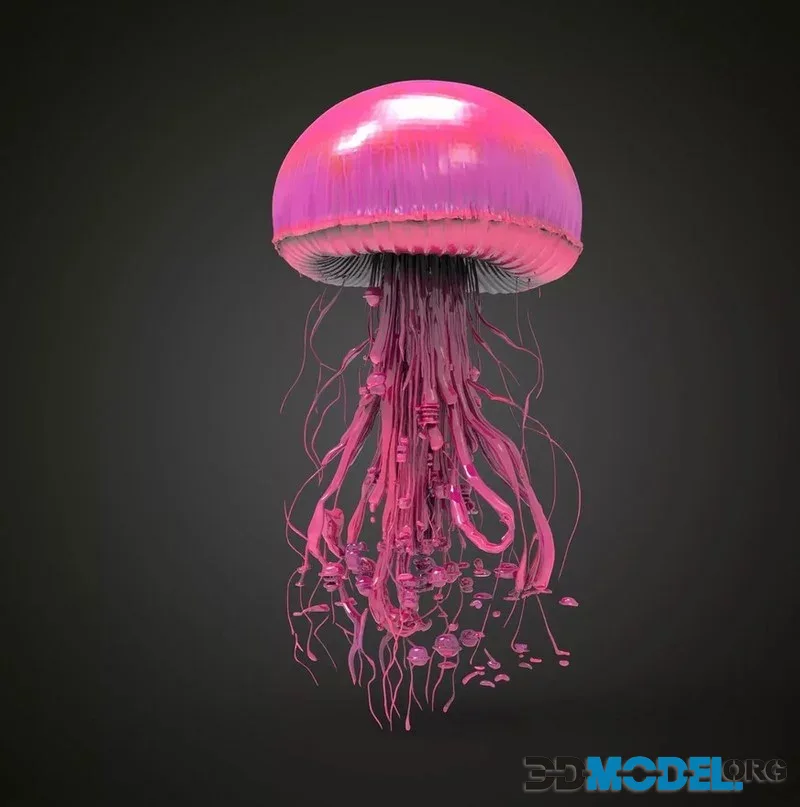 Pink jellyfish (PBR)
