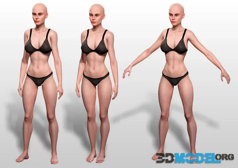 Base Mesh Realistic Human Female Body