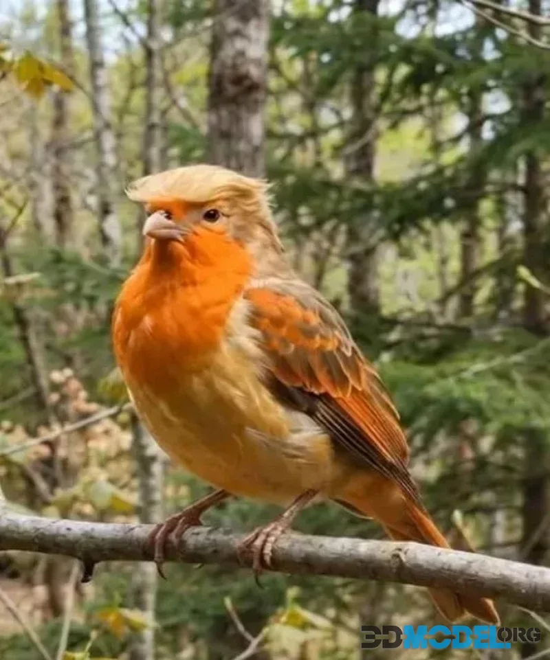Bird Donald