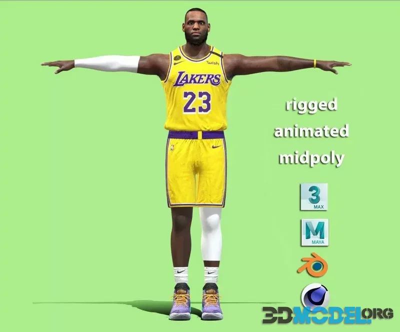 T-P Rigged Lebron James Los Angeles Lakers NBA
